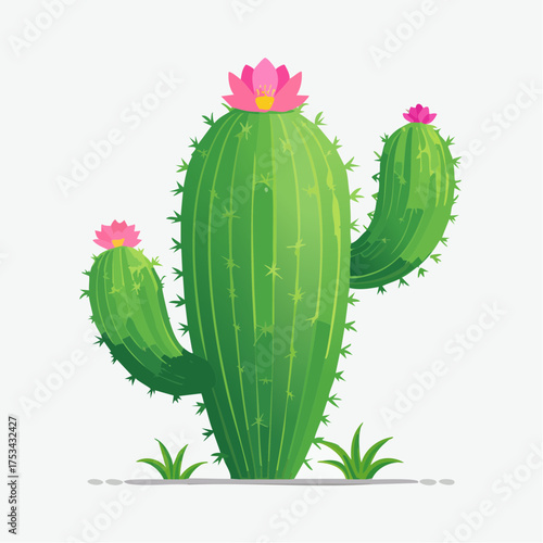 Kaktus mit rosafarbenen Blüten