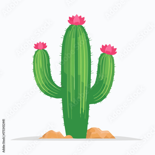 Kaktus mit rosafarbenen Blüten