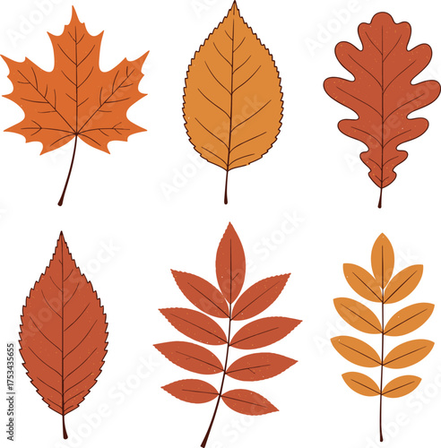 Set of Six Textured Autumn Leaves with Distressed Effect. Fall Season Foliage Collection of Maple, Oak, Birch, and Rowans in Warm Earth Tones