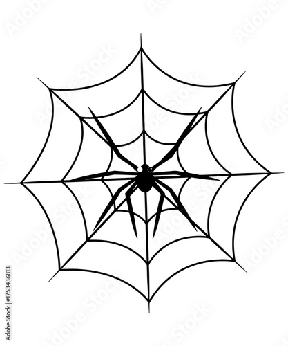 spider and web