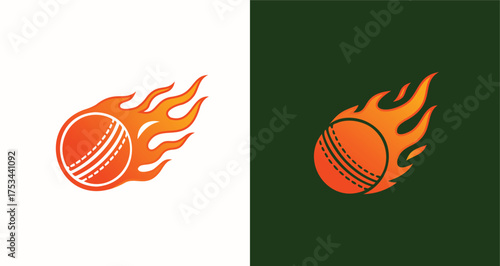 Flaming Cricket Ball Sports Team Mascot Logo

