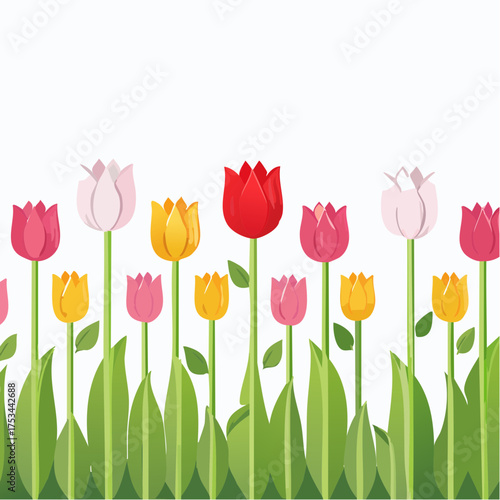 Colorful tulips in a row against a white background.