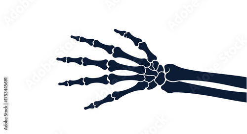 Anatomy of the human hand and wrist bones illustration.