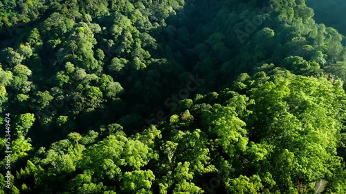 Aerial morning view of forest mountain hills in Ngadas, Indonesia