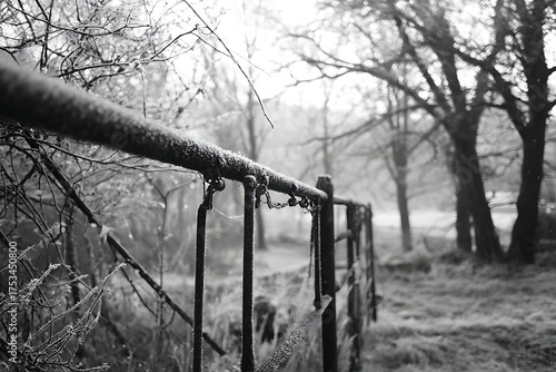 Winter's chill embraces frosted fence posts and bare branches creating a starkly beautiful, serene, and atmospheric natural landscape scene.