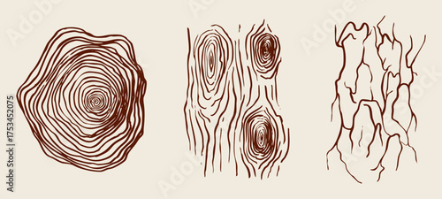 Detailed hand drawn wood texture illustration vector set. Tree rings, bark, and wood grain patterns. Natural, rustic, decorative design elements. Spring graphic.
