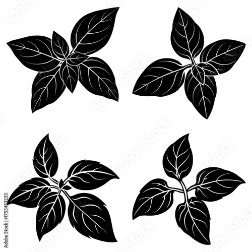 Four stylized black basil plant arrangements with detailed leaf veins on a white background design element