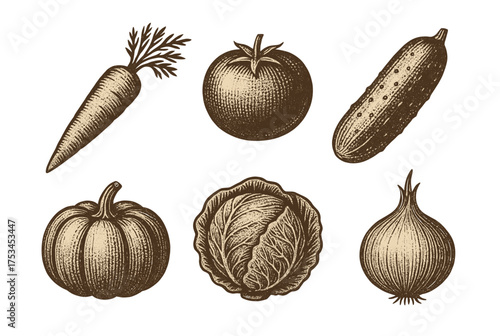 Vintage vegetable illustrations: carrot, tomato, cucumber, pumpkin, cabbage, onion.Colorful icons set illustrated