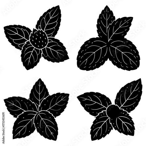 Four sprigs of mint leaves in black silhouette with detailed leaf veins and varying leaf counts shown