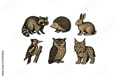 Collection of woodland animals: raccoon, hedgehog, rabbit, woodpecker, owl, lynx.Colorful icons set illustrated