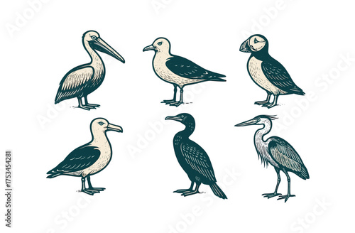 Collection of stylized aquatic birds including pelican, puffin, and heron.Colorful icons set illustrated