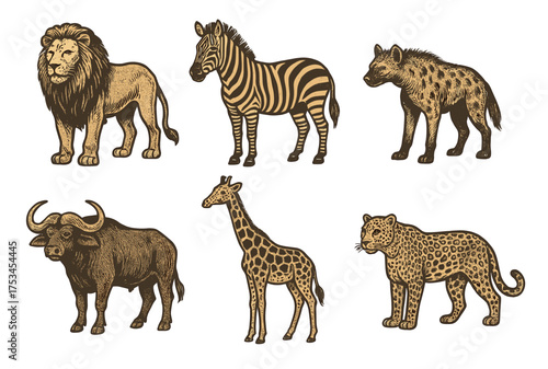 Illustrated wild animals: lion, zebra, hyena, buffalo, giraffe, leopard.Colorful icons set illustrated
