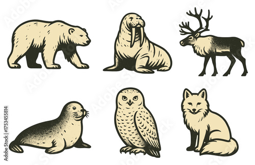 Vintage arctic animals: polar bear, walrus, reindeer, seal, owl, fox illustrations.Colorful icons set illustrated