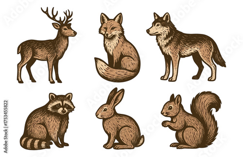 Woodland animals illustration: deer, fox, wolf, raccoon, rabbit, squirrel.Colorful icons set illustrated