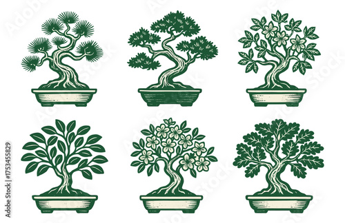 Collection of six intricately designed bonsai tree illustrations.Colorful icons set illustrated