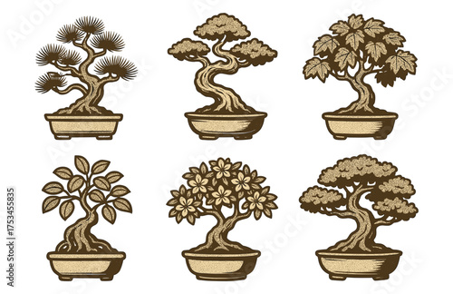 Vintage bonsai tree collection in decorative pots on white background.Colorful icons set illustrated
