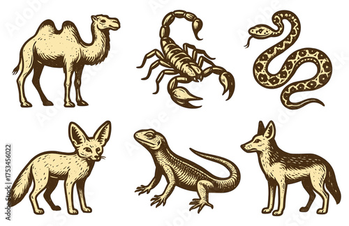Desert animals illustration: camel, scorpion, snake, fennec fox, lizard, wild dog.Colorful icons set illustrated