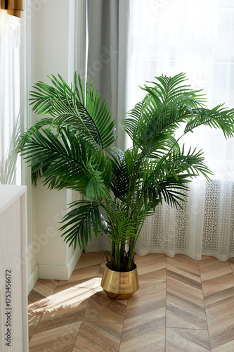 Wallpaper Mural A palm tree in a golden planter in a bright and spacious room. Style, luxury and minimalism, Torontodigital.ca