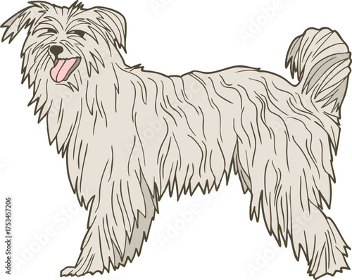 Pyrenean Shepherd Dog – long-haired mountain dog vector illustration