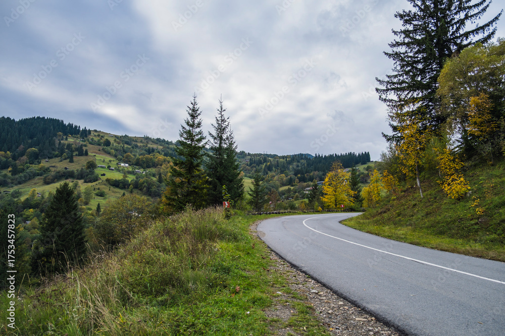 Fototapeta premium Scenic countryside road surrounded by green and golden autumn trees under a bright blue sky. Peaceful mountain landscape with morning sunlight creating a calm and natural atmosphere.