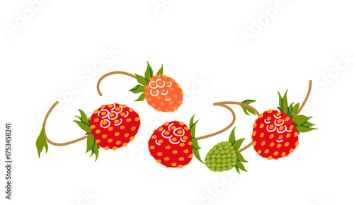 Ripe Red Wild Strawberry Isolated on White