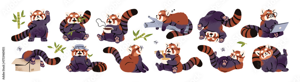 Fototapeta premium Set of cute red panda. Funny little Asian bear with striped tail is greeting with Hello, eating bamboo and noodles, sleeping and having a rest. Flat isolated vector illustrations on white background.