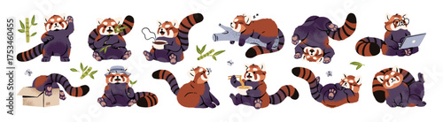 Set of cute red panda. Funny little Asian bear with striped tail is greeting with Hello, eating bamboo and noodles, sleeping and having a rest. Flat isolated vector illustrations on white background.