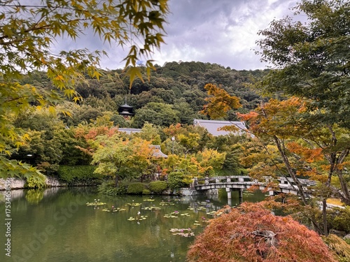 Japanese Garden with pond