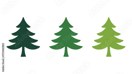 Three green christmas trees in varying shades of green