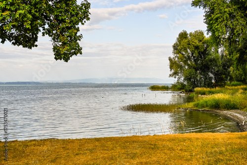 Güttingen, Bodensee, See, Seeufer, Uferweg, Ufer, Wasservögel, Schilf, Naturschutz, Wassersport, Seerundfahrt, Sommer, Ostschweiz, Thurgau, Schweiz
