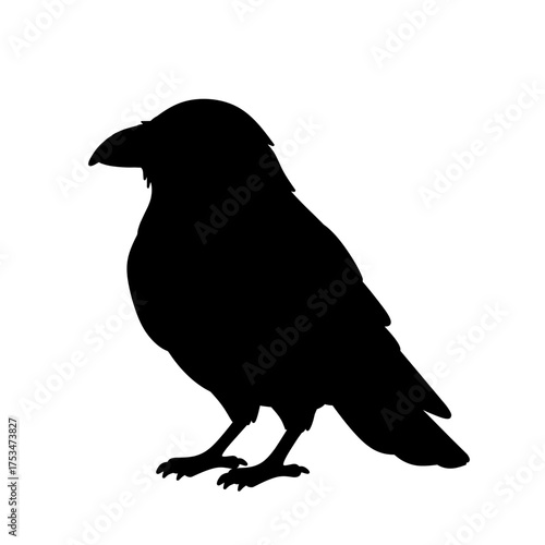 Black silhouette of crow bird isolated on white background, ideal for logo design, gothic icon, Halloween decoration, or mysterious wildlife symbol