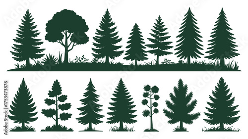 Silhouette collection of various pine and evergreen trees