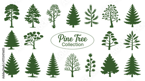 Collection of diverse green pine tree silhouettes