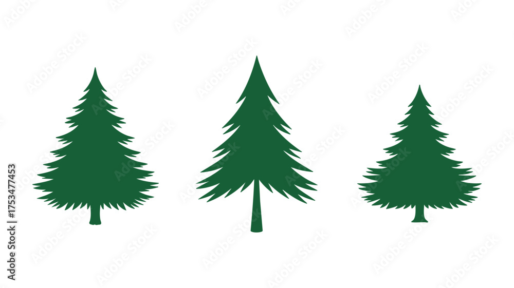 Obraz premium Three green evergreen trees in a row