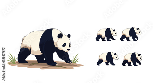 A giant panda ambles across a grassy plain as smaller pandas follow behind.