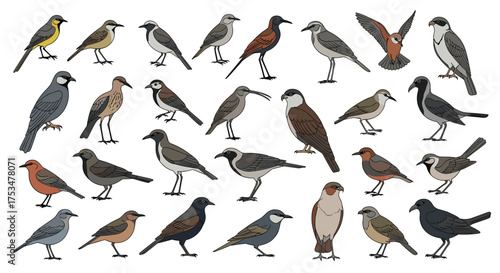 A diverse collection of small to medium sized pixel art birds each with unique plumage and posture.