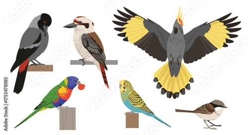 A vibrant collection of seven diverse Australian birds perched on wooden posts.