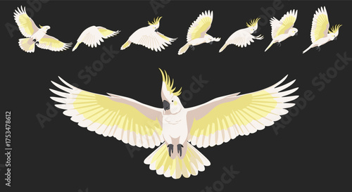 Pixel art animation of a cockatoo in flight showing its wingspan and detailed feathers.