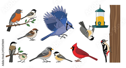 An assortment of charming backyard birds in pixel art style.