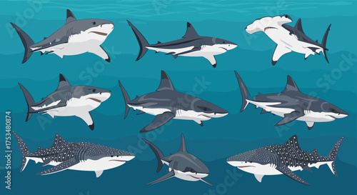 A collection of diverse sharks swimming in clear blue ocean waters.