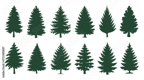 Collection of diverse green pine tree silhouettes for design
