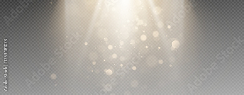 The vector set of light includes a light source, studio lighting, walls, and a PNG. It also includes spotlight lighting and a spotlight PNG. Finally, it includes light beams and a light effect.