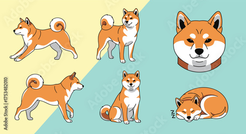 A collection of adorable Shiba Inu dogs in various poses and activities showing their playful nature and cute expressions.