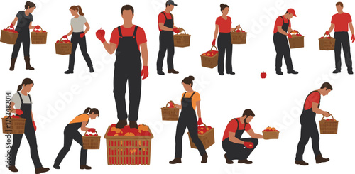 Apple harvest illustration, farm workers picking fruit, basket and crate scene, red gloves detail, agricultural teamwork, rural attire, vector art