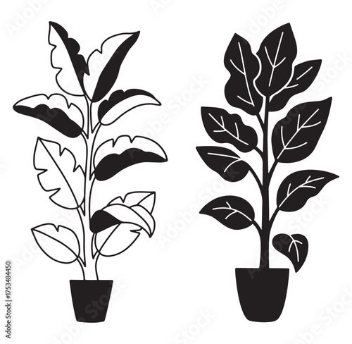 Minimalist black and white vector illustrations of potted fiddle leaf fig plants
