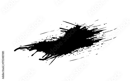 Black paint splashed on white background. ink vector