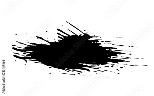 Black paint splashed on white background. ink vector