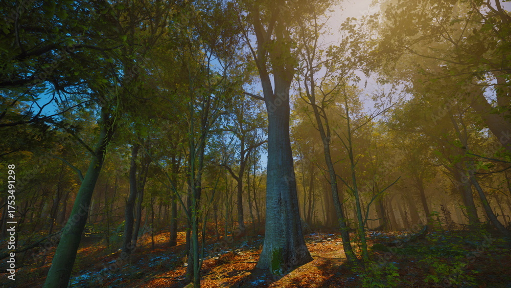 Obraz premium Golden rays of sunlight pierce the lush green canopy, illuminating a tranquil forest scene. The morning mist adds a mystical touch, creating a peaceful atmosphere for nature lovers.
