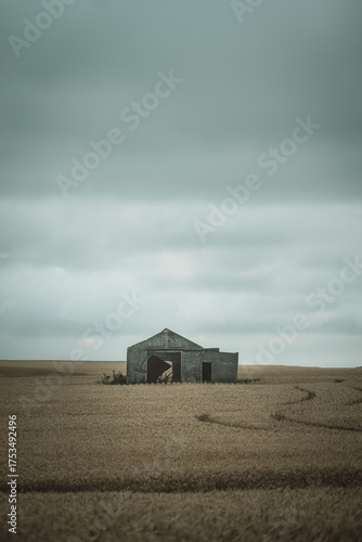 barn in the field