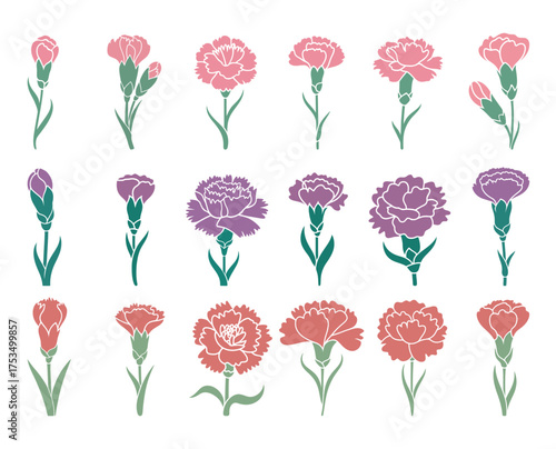 Collection of Carnation Flower Illustrations in various colors and sizes, vector illustration